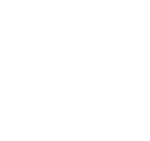 bedrooms icon